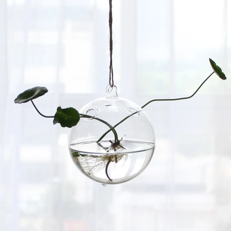 Free Shipping Metal Frame Air Plants Succulent Planters Large Terrarium Hanging Glass Vase