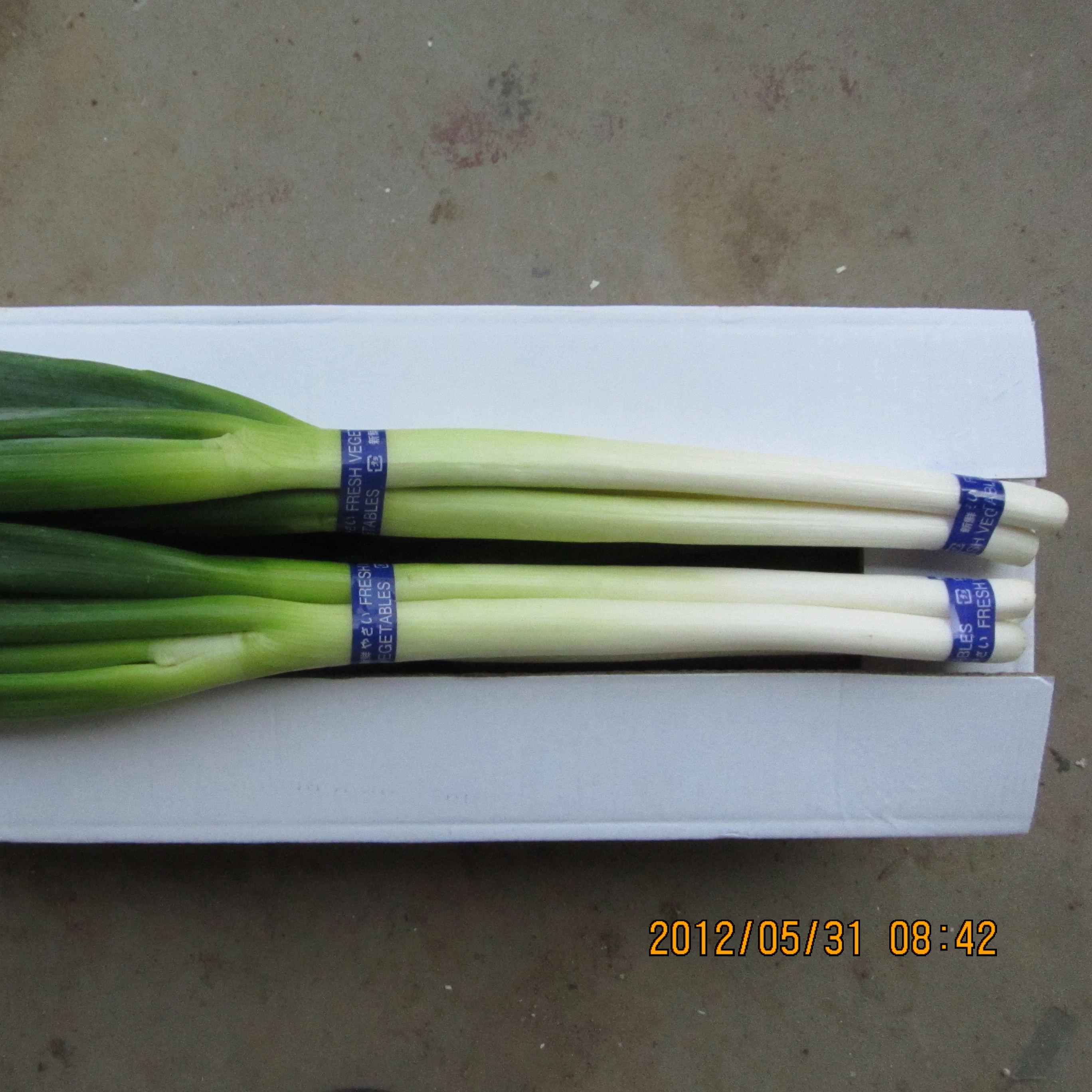 
Fresh Leek 