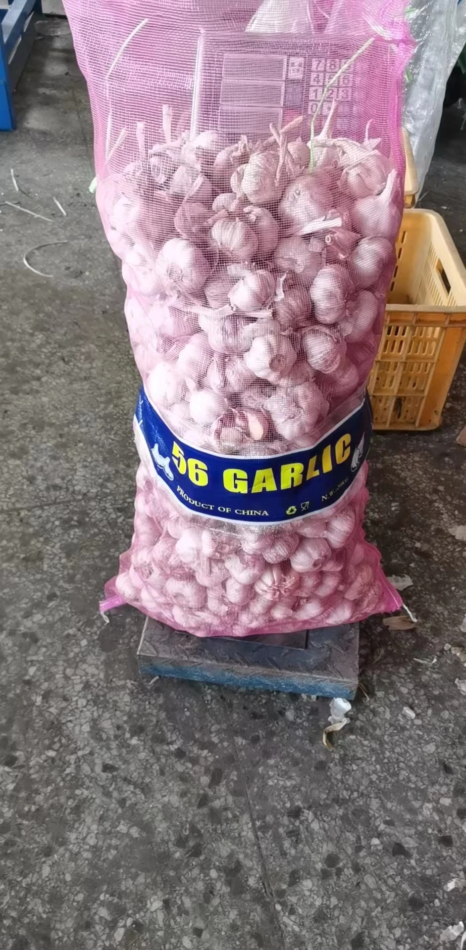 Garlic Price in China Fresh Normal White Style China Gap  Weight Origin Type Size Product Place Model HACCP SHN