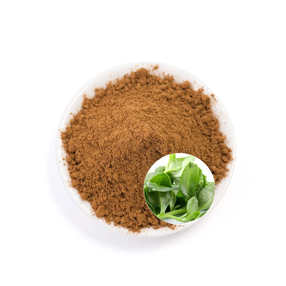 Organic Natural Andrographis Paniculata P.e Extract Plant Andrographis Paniculata Extract Powder Andrographis Paniculata Extract