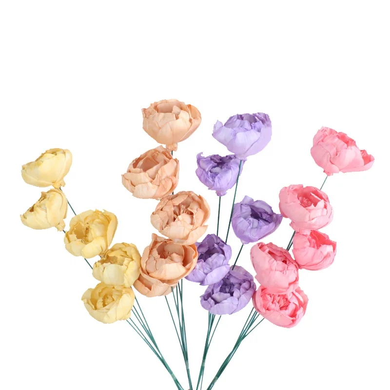 Instagram Hot Sale Beautiful Color Sola Wood Dried Flowers Preserved Peony Shape for Home Decoration Long Stem Preserved Roses