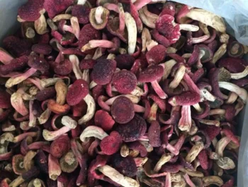 Professional industrial vegetable dehydrator mushroom heat pump drying room