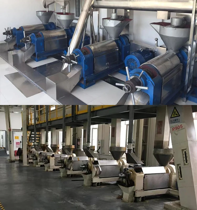 Industrial Masterd 450KG/H-500KG/H Olive Oil Press Machine With Vacuum Filter