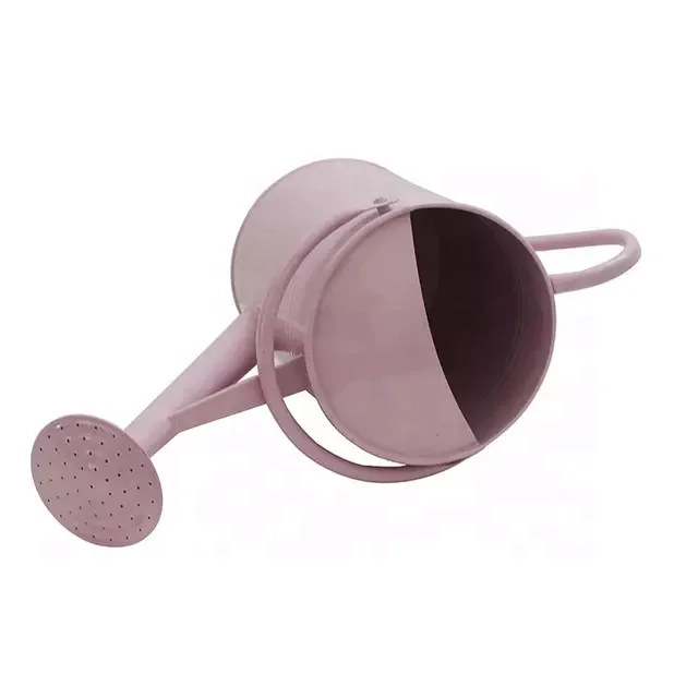 Wholesale 6L galvanized watering can garden watering pot