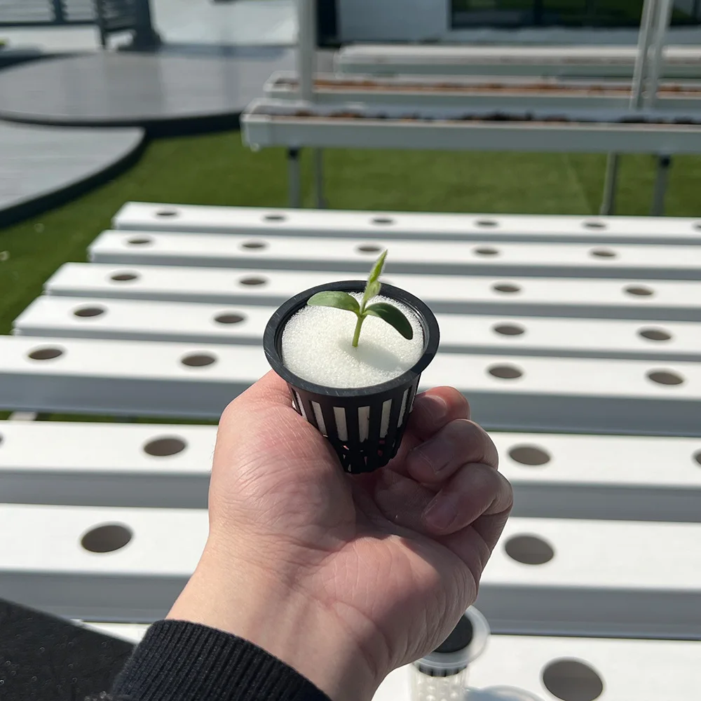 Garden Bee Eco-Friendly Hydroponic Systems Agricultural Seeding Planting Garden Sponge Peat Soil
