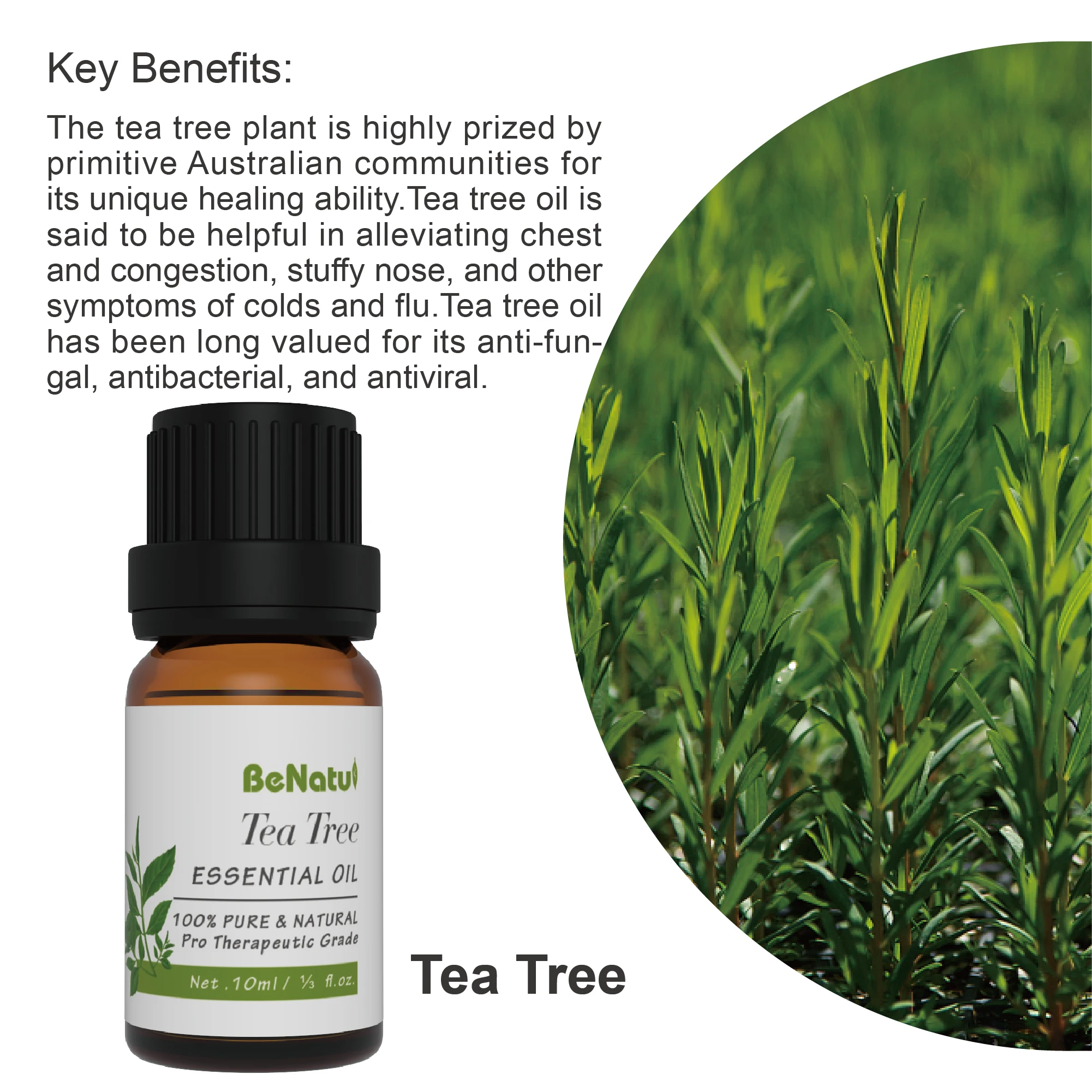 Benatu Trio of Essential Oils (Lavneder/Tea Tree/Eucalyptus) 3*10ML LOW MOQ BEST CHOICE FOR TESTING MARKETS