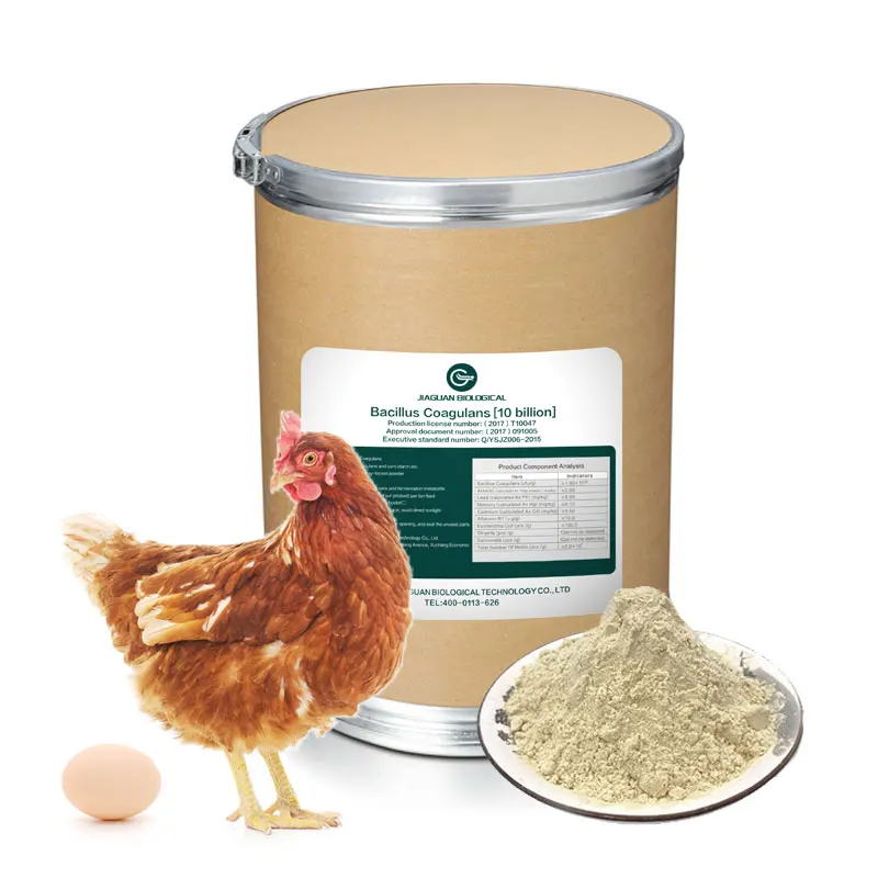 Feed Premix Feed Additive Feeds Animal Manufacturer Supply High Quality Bacillus Coagulans