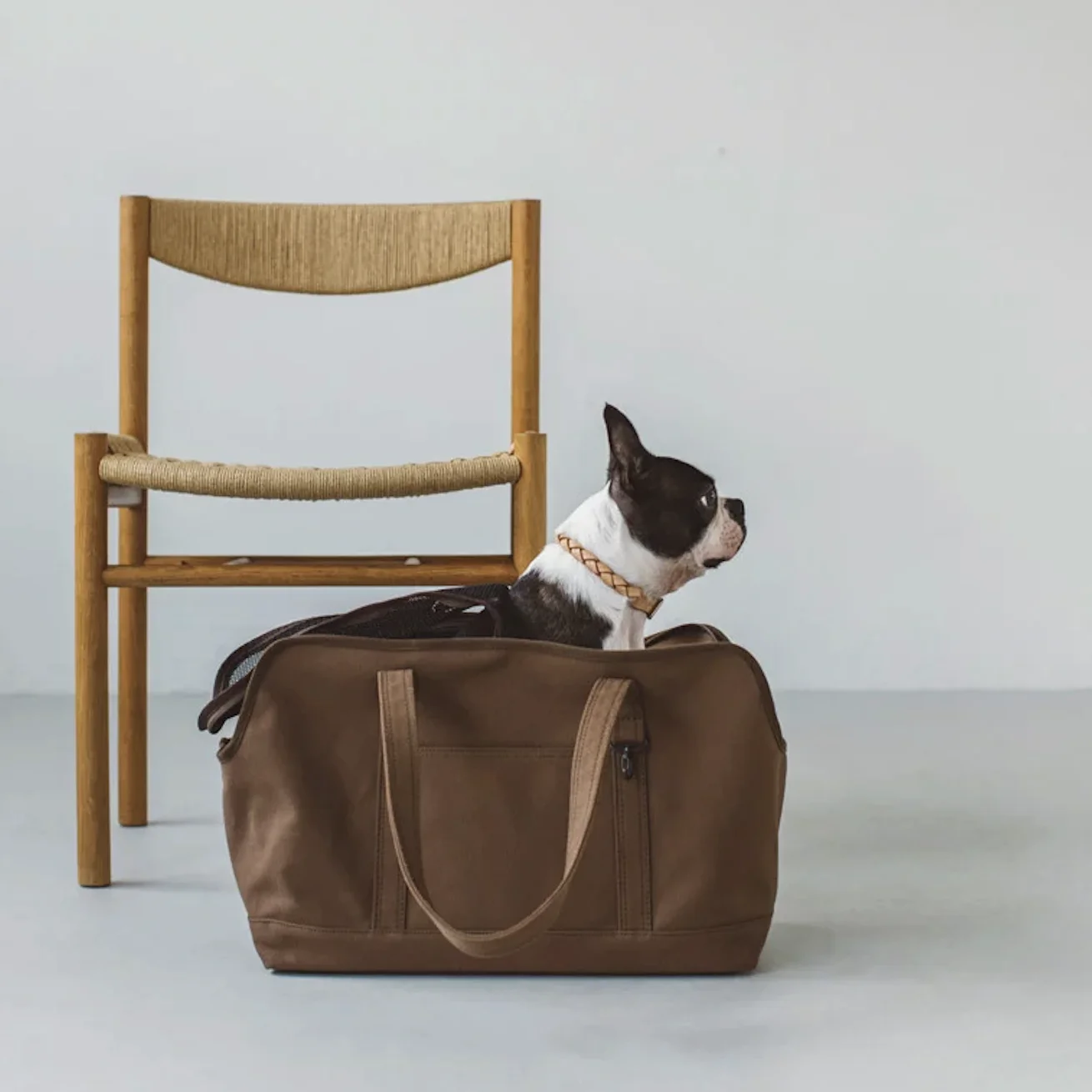 Canvas Puppy Dog Cat Travel Tote Handbag Pet Shop Products Other Pet Carriers