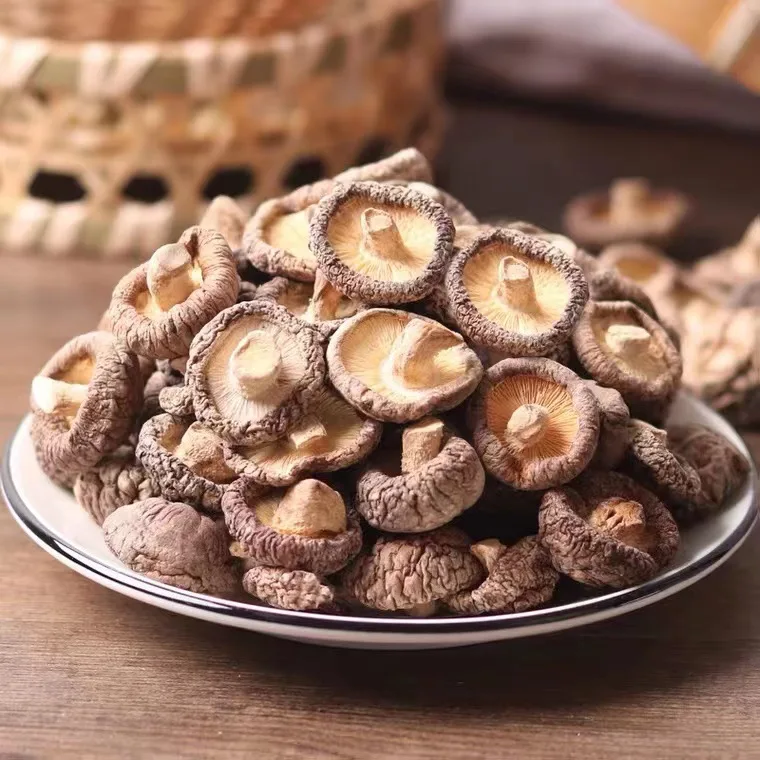 Top Level Edible Fungi Dried Mushrooms Dried Whole Shiitake Mushroom