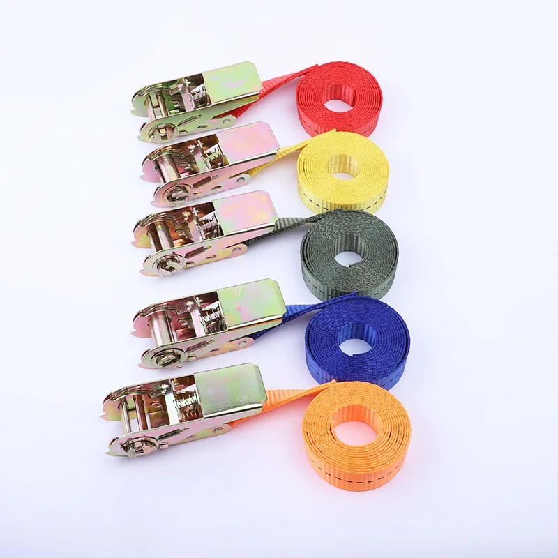 New Arrival 200 KG Weight Capacity Polyester Ratchet Cargo Lashing Belt Adjustable Tie Down Straps with Cam Lock Buckle