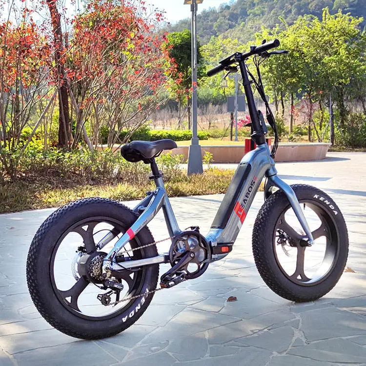 1000 Watt E Bicycle Electric Bike City 48W Ebike Fat Tire Aluminum Alloy Electric Fat Bike Electric Bicycle