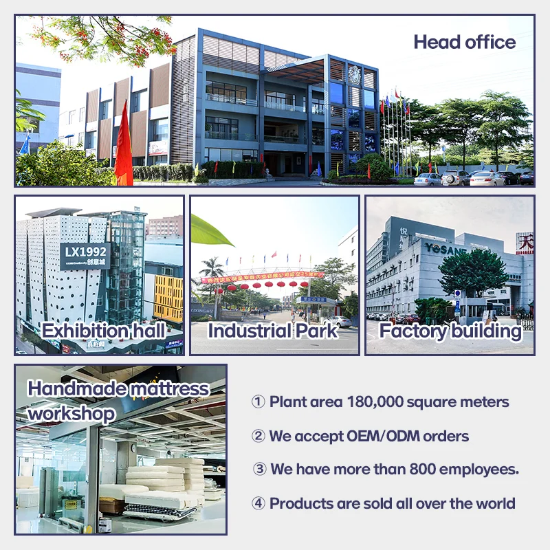 Bedroom Orthopedics king Size Hybrid Pocket Spring Mattress Hotel Comfortable Mattresses in a Box