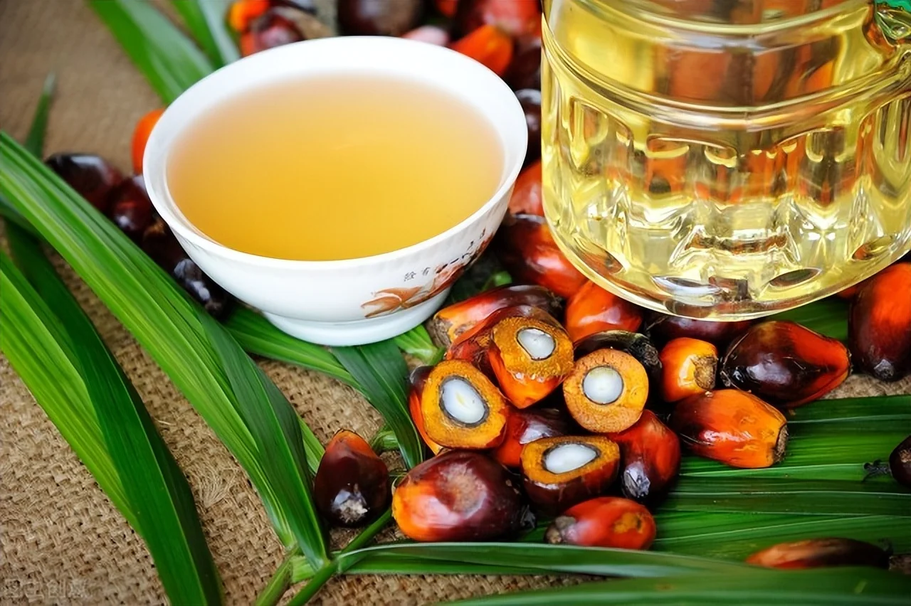 Cooking And Frying Oil Hot RBD Palm Oil Olein 3L 4L 5L Jerry Can Packaging Organic Vegetable Oil Food Health