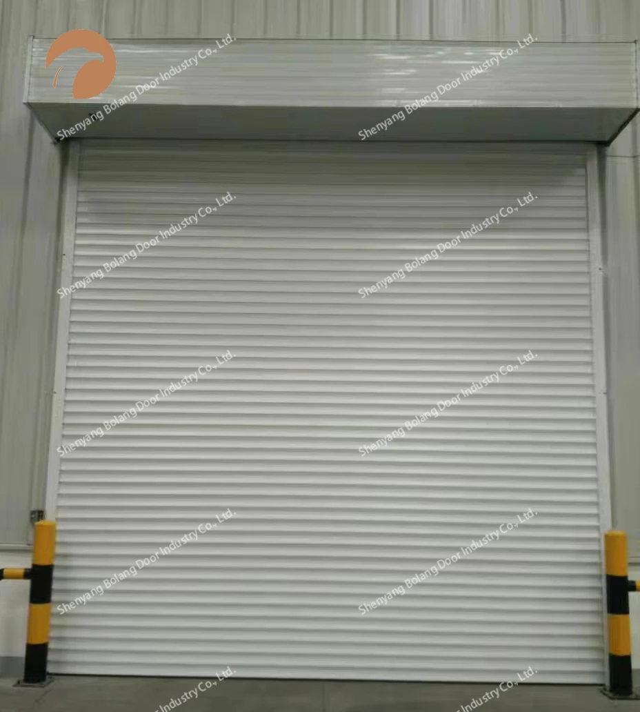 Windproof High Performance Galvanized steel Roller Shutter Doors With Good Price