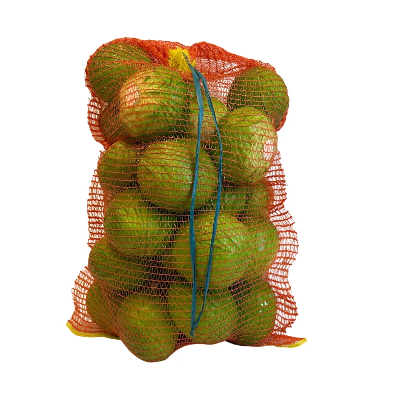 Custom transparent 42x60 poland garlic plastic pp woven net mesh bag for onion