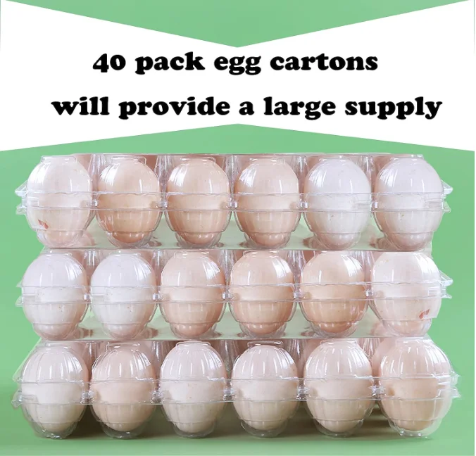 40 Pack Clear Plastic Egg Carton Holds Up to 12 Eggs - 1 Dozen, Reusable Egg Carton for Family