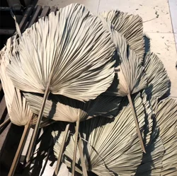 2022 New Arrivals Home Wedding decoration Flower dried palm leaves Dried flower wholesale for A-mazon