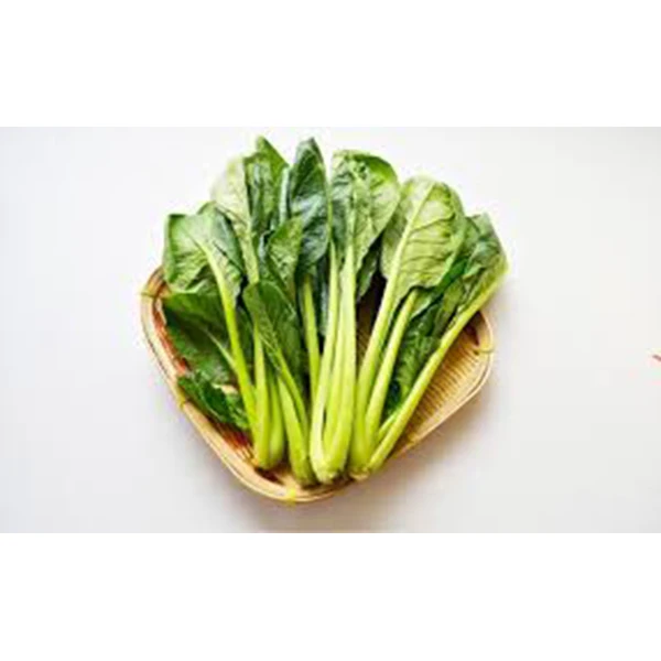 nutrient-rich crunchy texture multifunctional vegetable wholesale importer