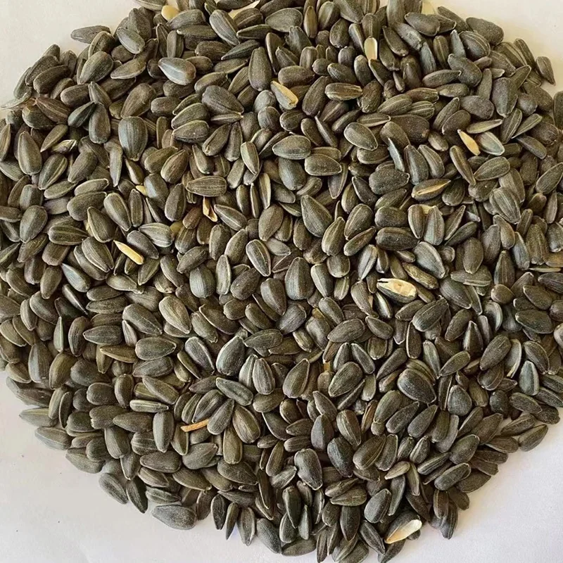 Wholesale sunflower seeds kernels small Black oil sunflower seeds for bird feeding