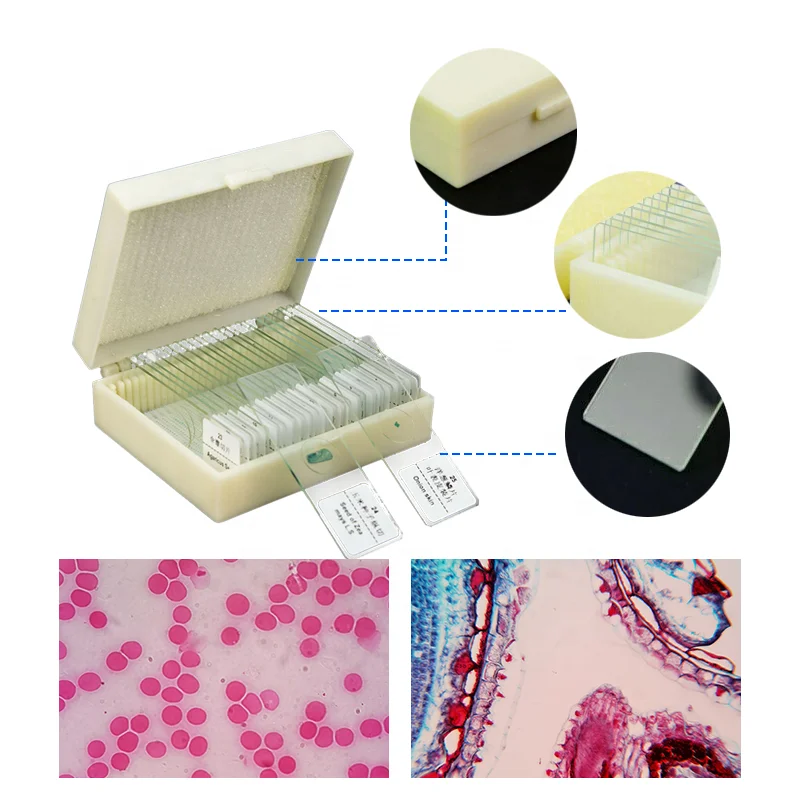 Factory Prepared Microscope Slides Educational Equipment Development Series Embryo Biology Prepared Microscope Slides