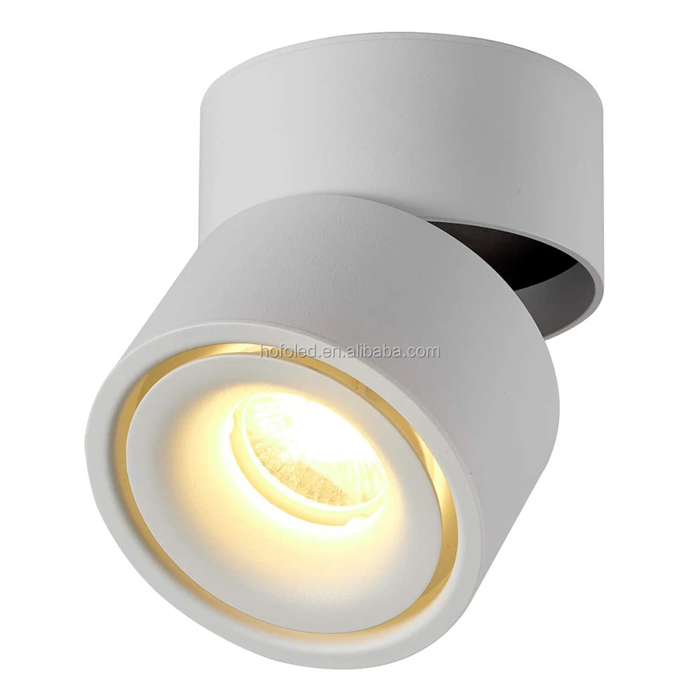 100mm 3inch Diameter Adjustable IP65 Surface Mounted LED Recessed Downlight 10W