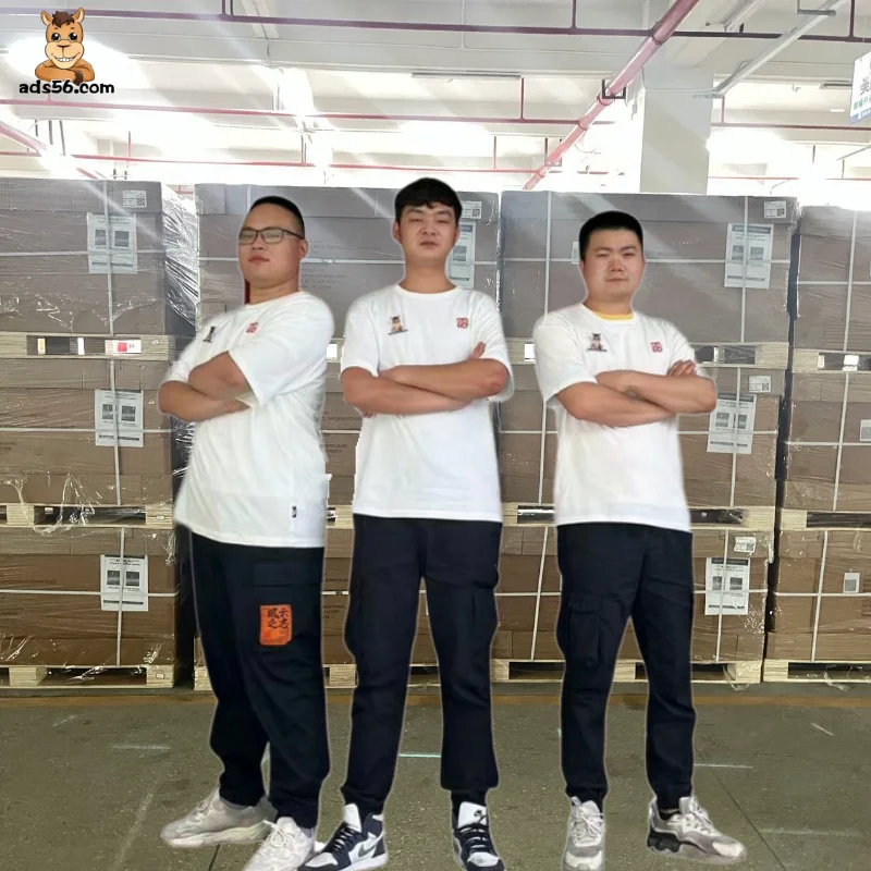 professional Air Delivery Door to Door Service Courier China to Algeria Angola