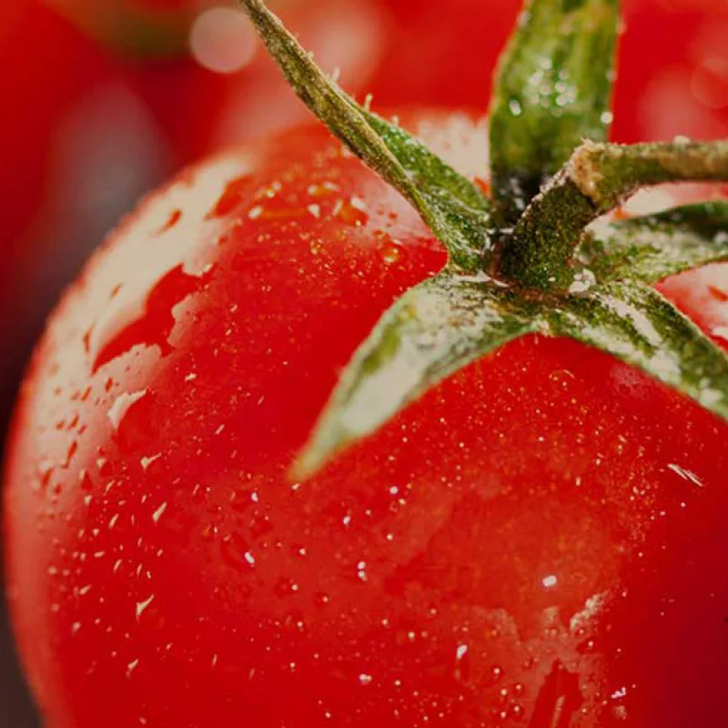 Top Quality 100% Italian La Doria Peeled tomatoes in Easy-open cans 12x800g  No added salt Best Price