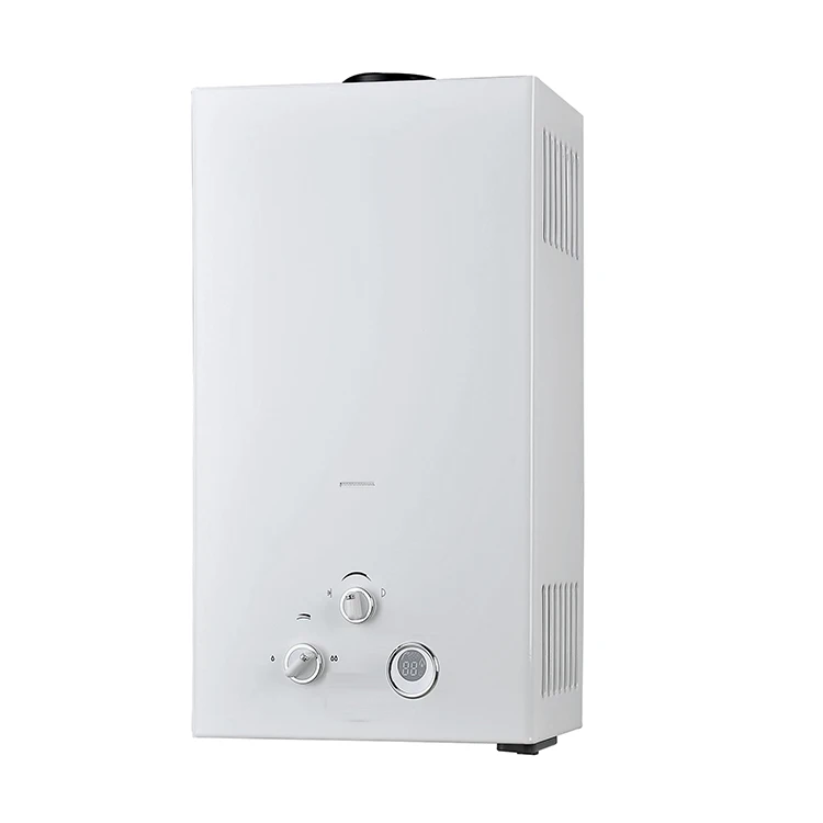 Stainless Steel Propane gas water boiler gas geyser water heater HOT water heater 6L 8L 10L