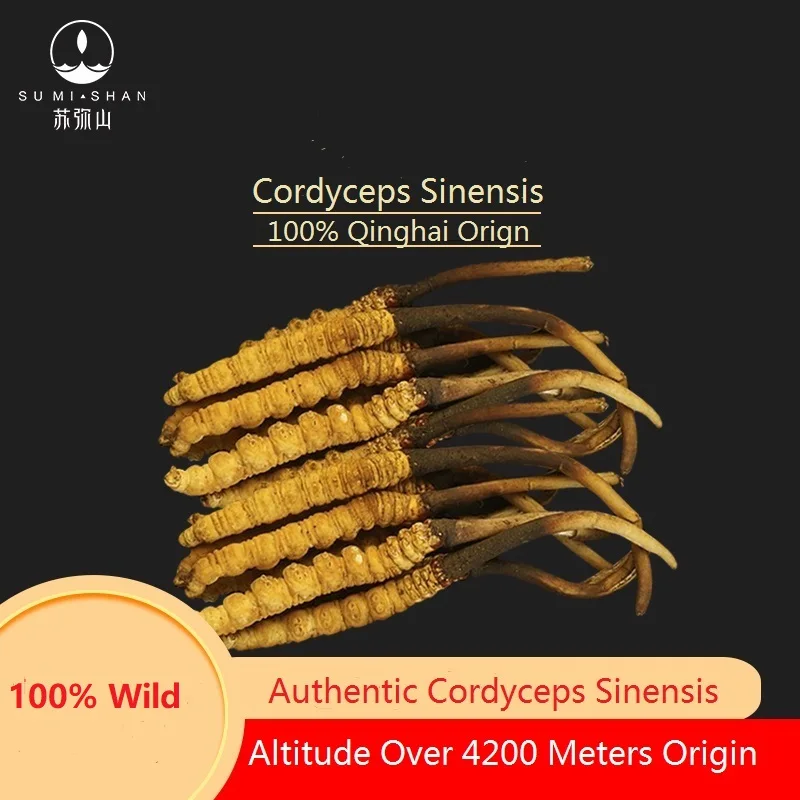  100% Аутентичный Qinghai-тибетское происхождение дикий Aweto Winterworm Summerherb Cordyceps