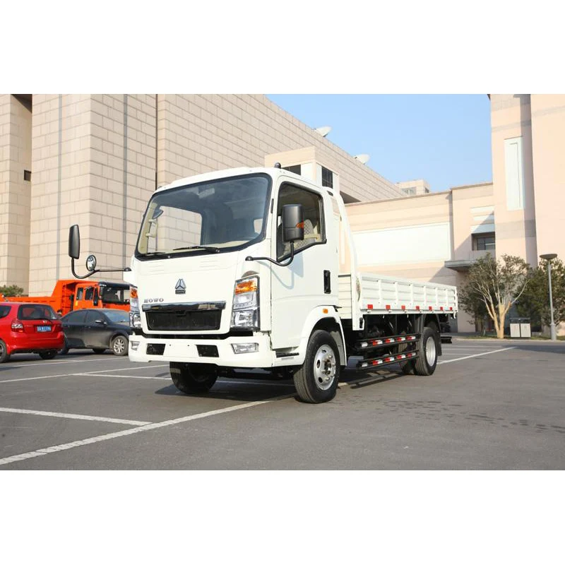 Mud Flap Mud Guard With Raised Logo And Printing For Cargo Truck 4x2  ZZ1107G4215C1