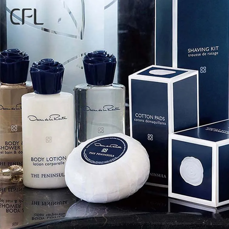 factory cheap price custom supply luxury hotel amenities toiletries dental set with toothbrush toothpaste