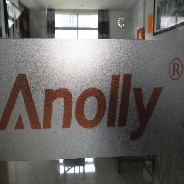 Anolly  New Style Home Decorative Glass Printing Frosted Film