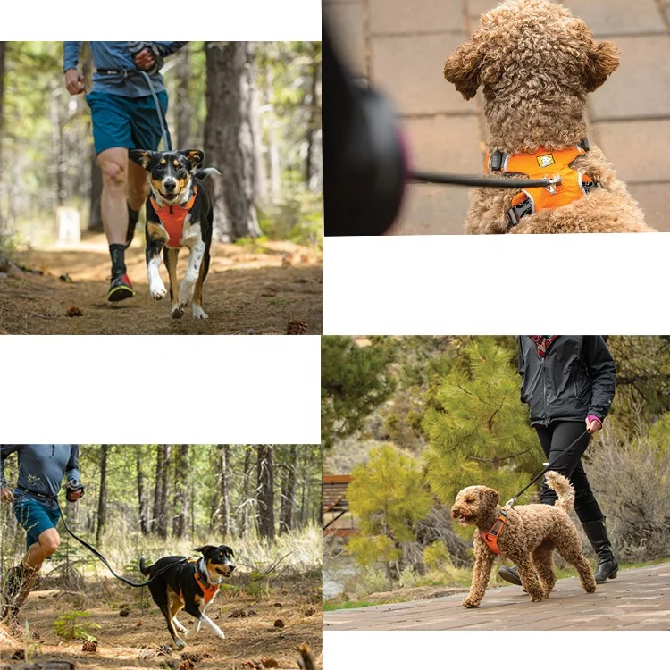Personalized Customize Logo No Pull Hunting Dog Handle Vest Reflective Training Pet Dog Harness Manufacturer UK  for Hiking