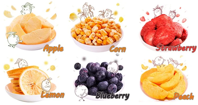 Xinyang 1500KG freeze dryer For Food fruits vegetable and Lyophilizer Machine Price industrial freeze dryer