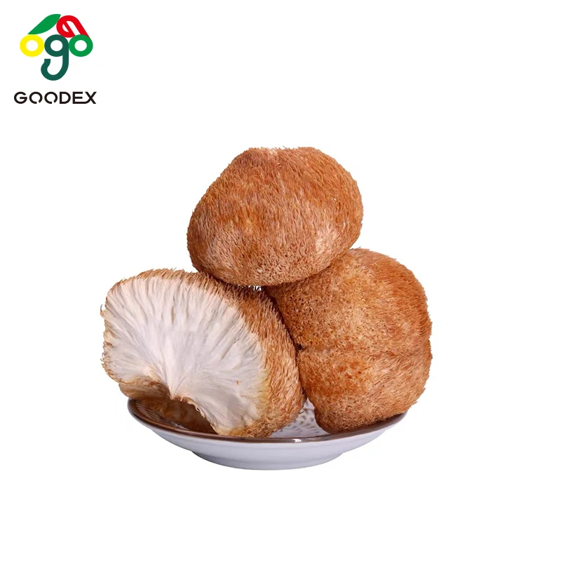 Chinese factory of  edible mushroom type,edible fungus