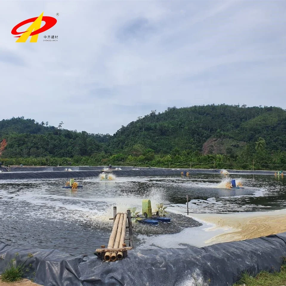HDPE Roof Waterproofing Geomembrane Landfill Pool Tank Pond Dam Liner Hdpe Geomembrane