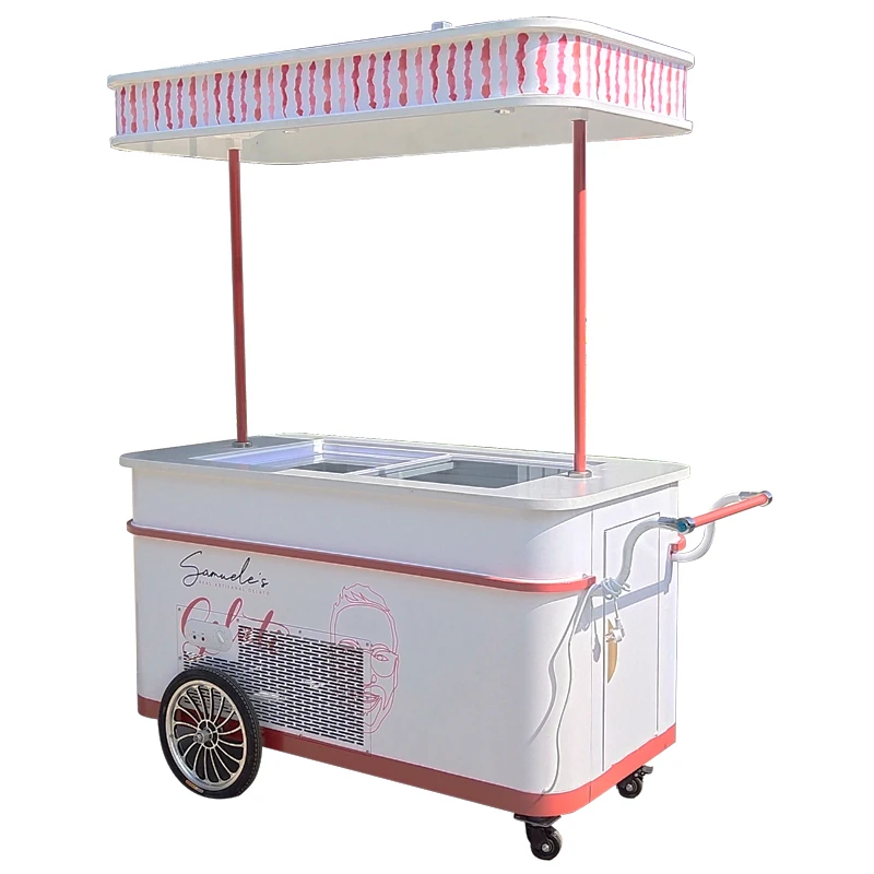 Commercial Ice Cream Cart Freezer Bicycle for Sale Popsicle Cargo Food Bike Electric Passenger Tricycle Ebike Customized