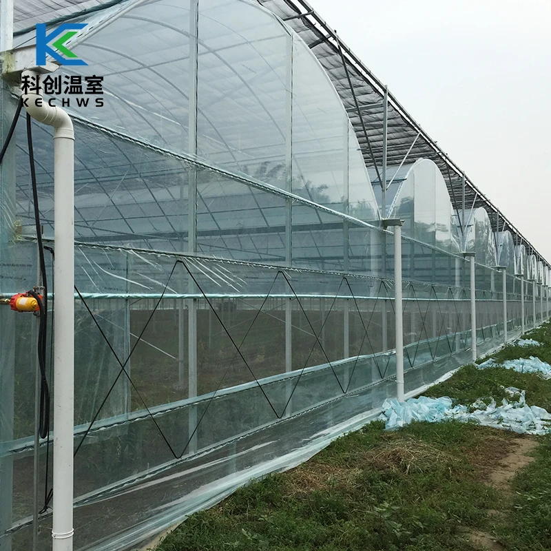 
High Quality Agricultural Hydroponic Multi Span Plastic Film Equipment Automatic China Farm Strawberry Greenhouses 