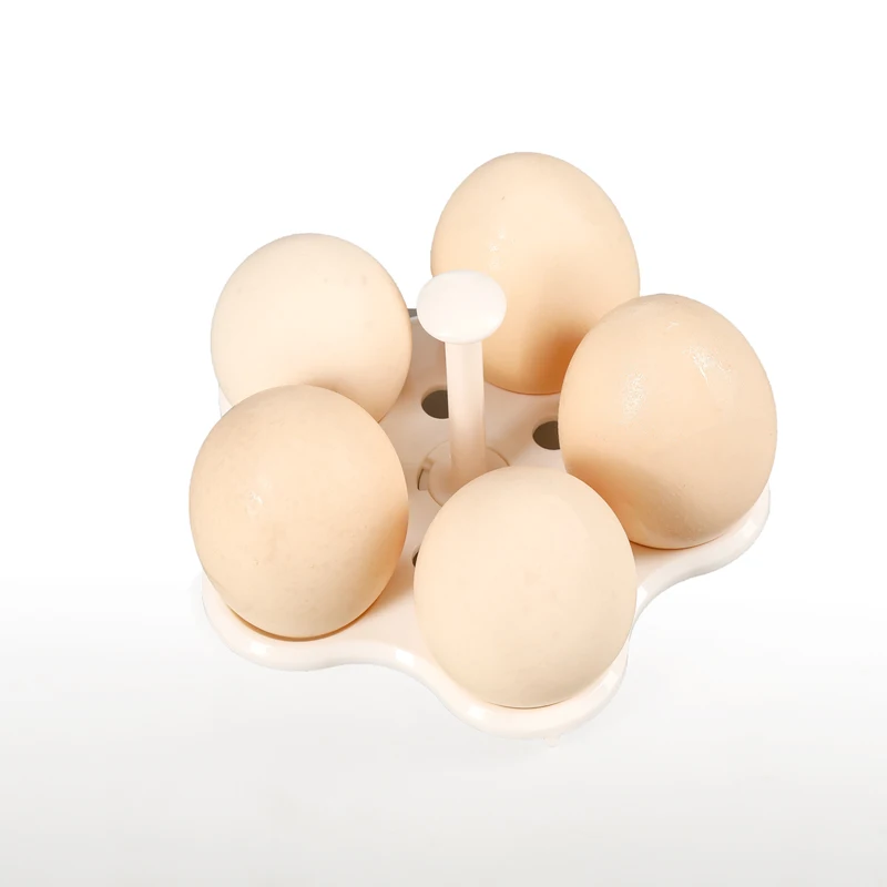 Multifunction Mini Eggs Boiler 6 Eggs Capacity Electric Egg Cooker with Tray