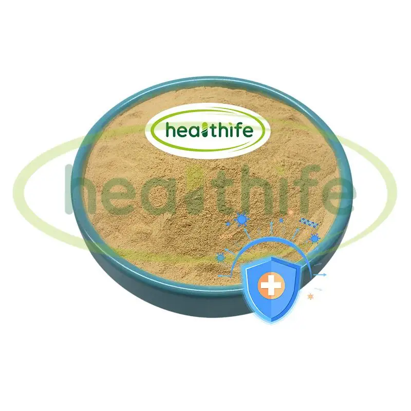Healthife 10:1 20:1 Organic Maitake Mushroom Extract Powder
