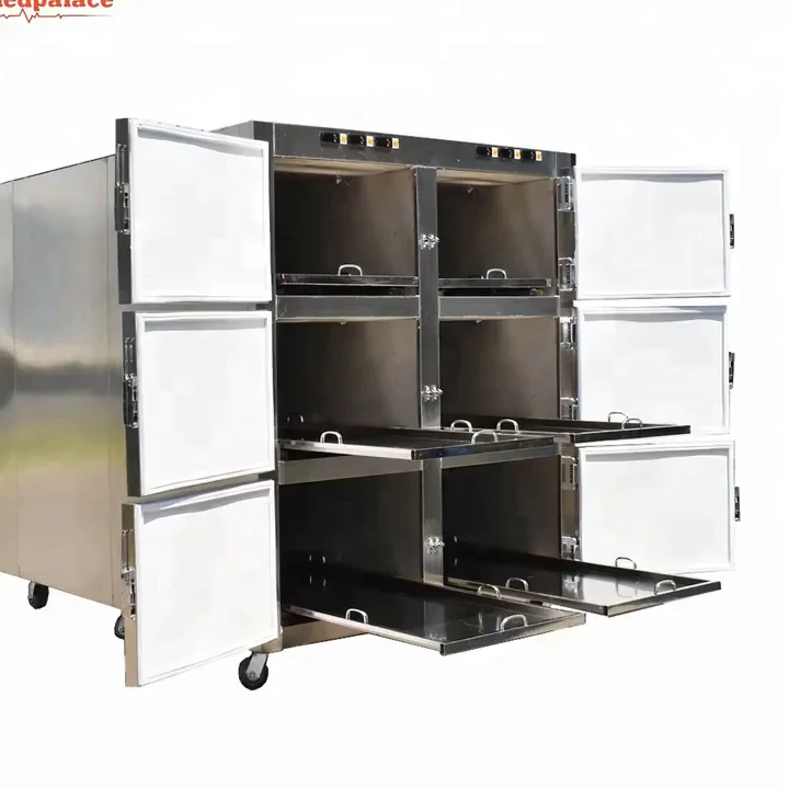 Freezerpalace High Precision 6 Rooms  Morgue Storage Cabinet Morgue Freezer Cadaver Storage Cabinet Supplies