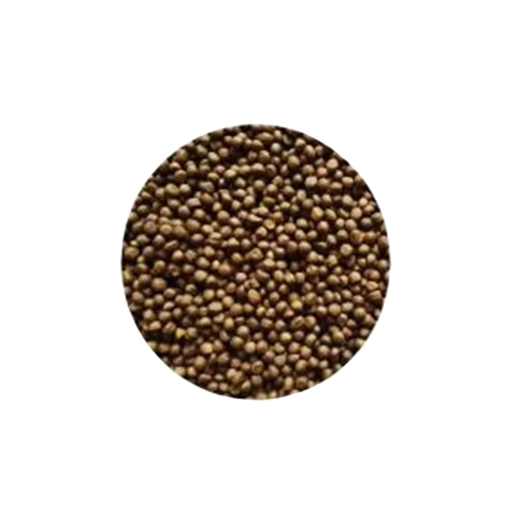 Neoceratodus forsteri feed Barramundi feed