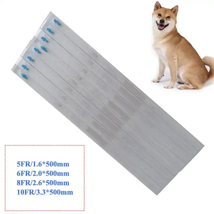 Dog Catheter 2-way Sterile Foley Urinary Insemination Catheter for Dogs
