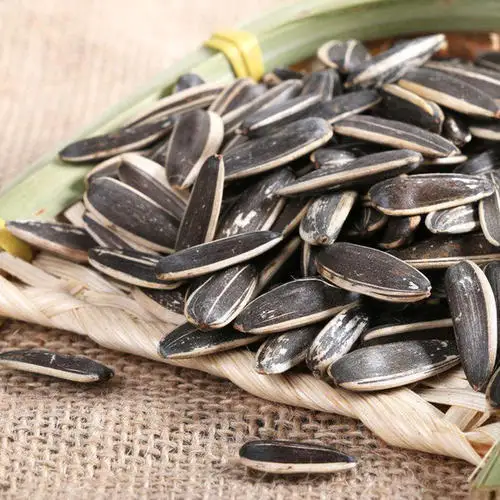 China raw sunflower seeds bulk