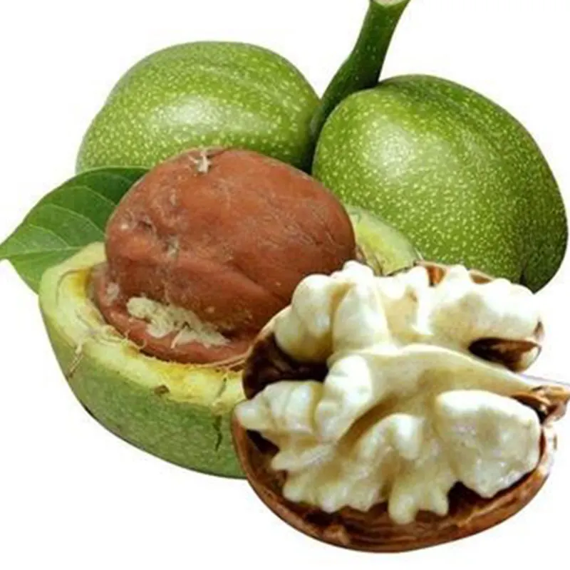 Лидер продаж Недорогой фруктовый сухой орех в скорлупе