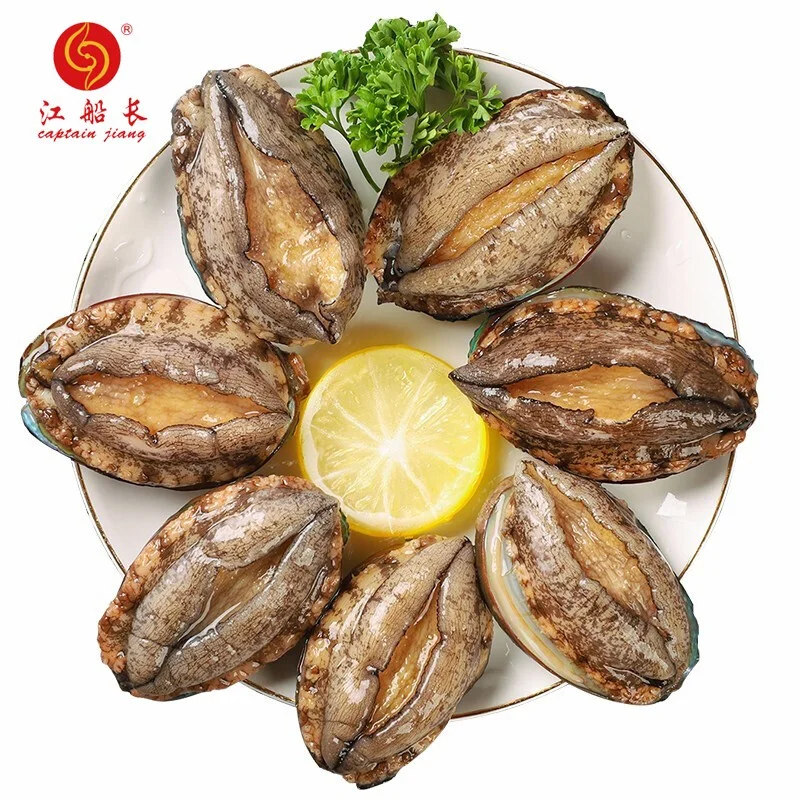
FROZEN BLANCHED ABALONE IN SHELL 
