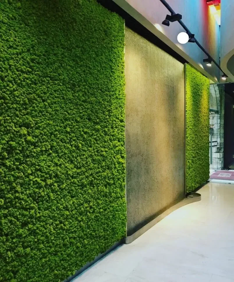 Moss Tile Self Adhesive Moss Wall Decor Preserved  Stabilised Moss