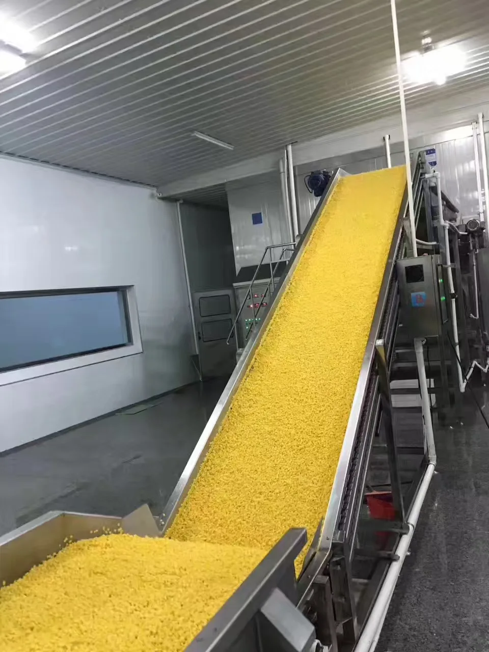 Wholesale  Dried Corn Grain  Dried Yellow Corn for Food   Frozen Corn Kernels