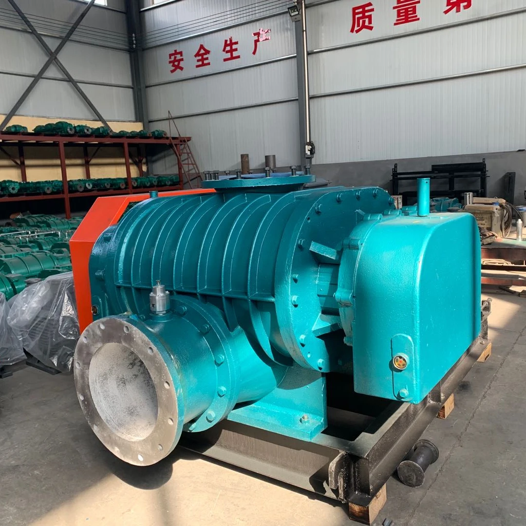 2Hp Shrimp & Fish Farming in Biofloc System Roots Blower