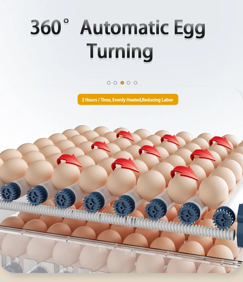 chicken duck goose pigeon quail egg incubator dual power supply DC 12V  AC 110V 220V hatching machine